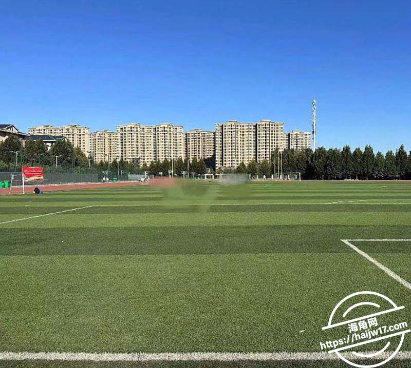 教师母亲萍姐萍姐的星期五3