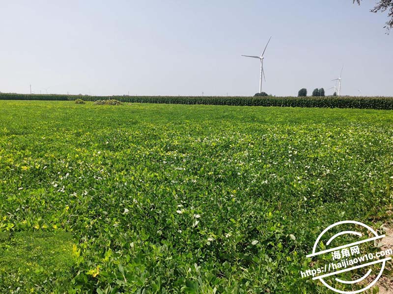 勾引亲弟弟跟弟弟回老家2