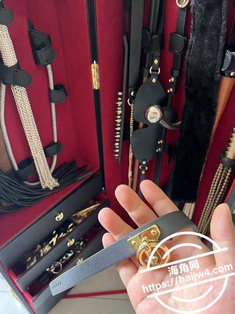 极品美胸M调教1 极品美胸M调教1